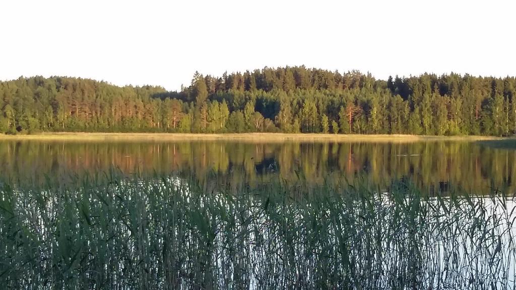Lakehouse Saimaa B&B Taipalsaari Esterno foto